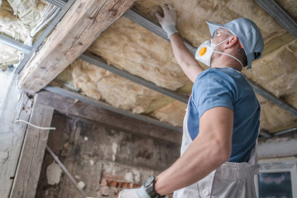 Best Insulation for Specific Applications in Delshire, OH