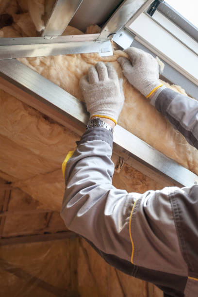 Best Insulation Materials and Products in Delshire, OH